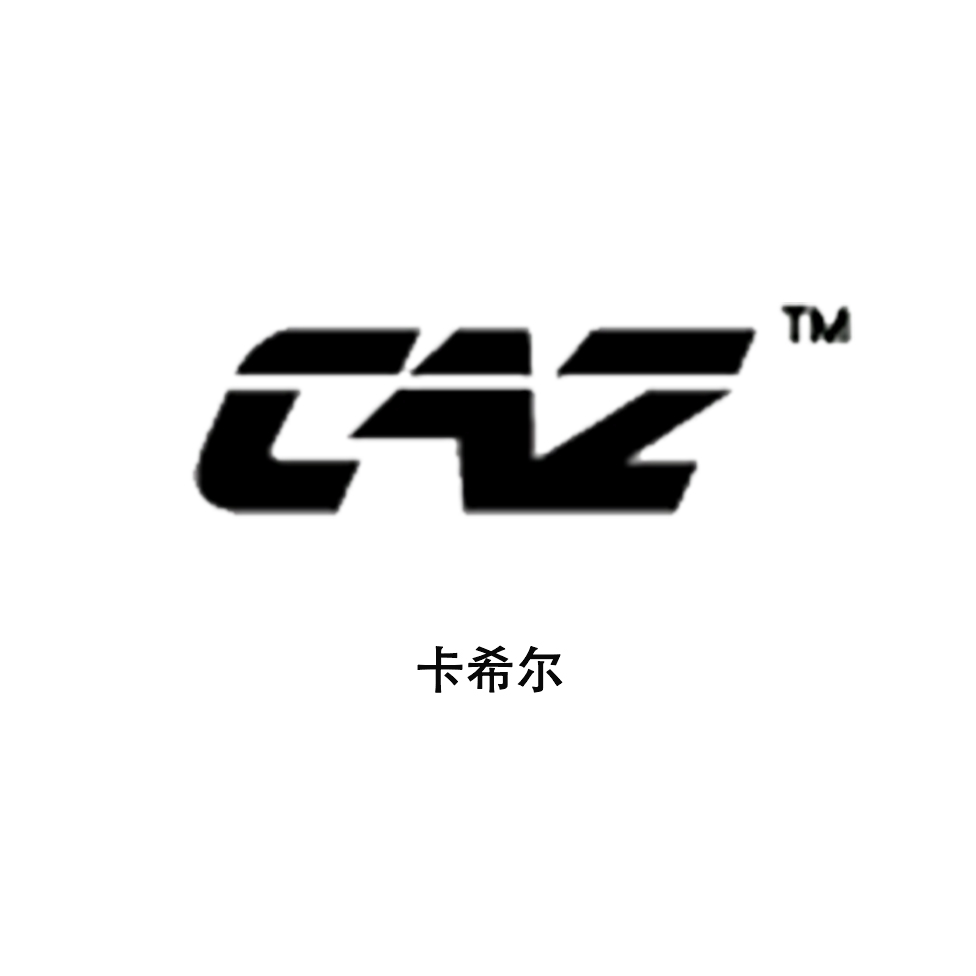 合作单位-卡希尔